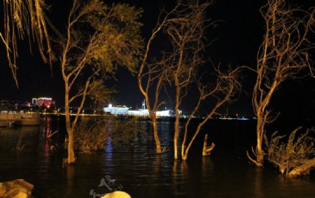 洱海之夜图片