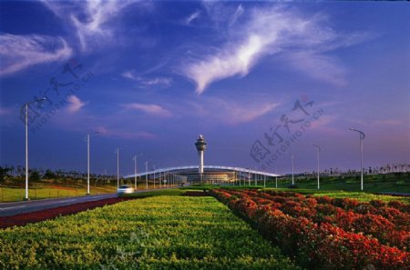 机场高速绿化图片