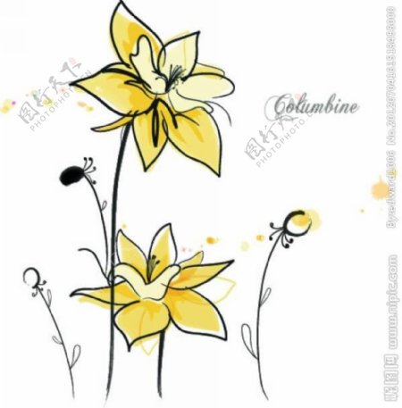 黄色鲜花背景图片