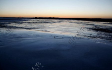 冰封花湖图片