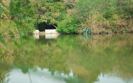 湖光三色浪漫的画面图片