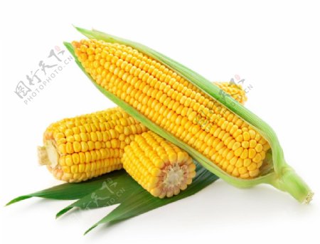 五谷杂粮玉米图片