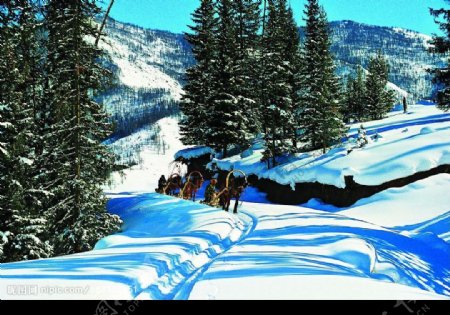 冬景迷人滑雪人家图片