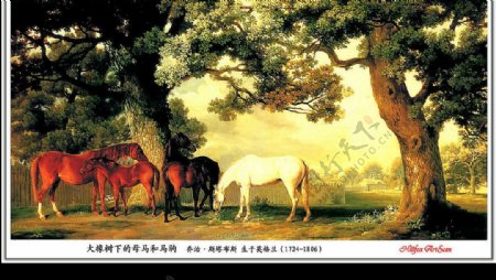 大橡树下的母马和马驹斯塔布斯图片