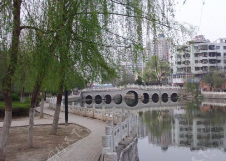 阜阳城河图片