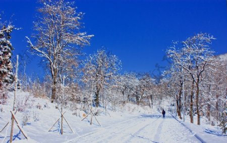 雪后山路图片