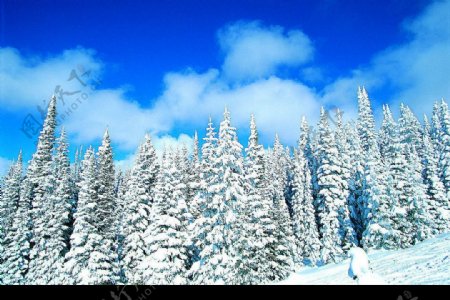 大幅蓝天冬景图片