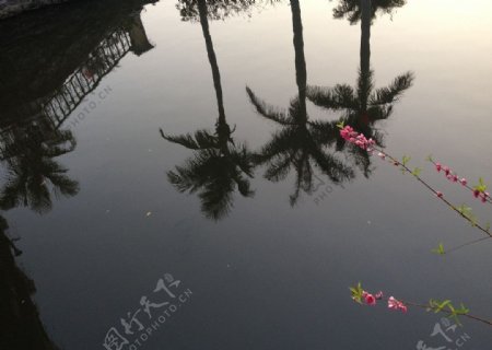 小梅沙海景图片