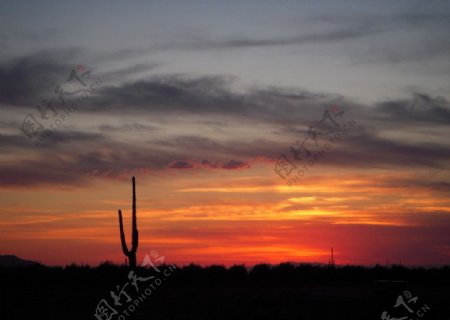 沙漠夕阳美景图片