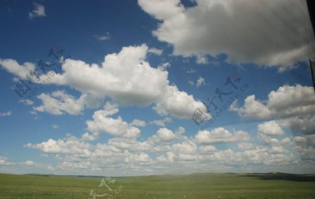 库伦贝尔大草原图片