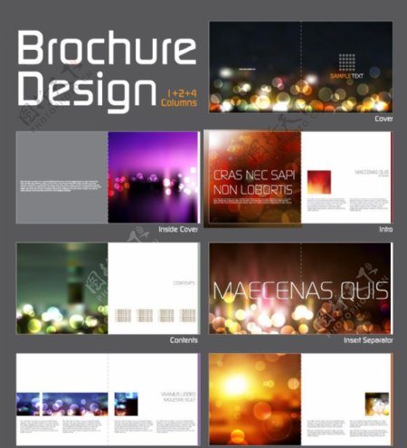 柔和动感圆点光点企业vi画册设计图片
