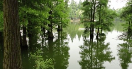 虞山尚湖图片