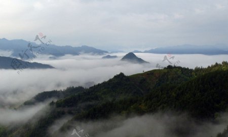 高山雾海图片