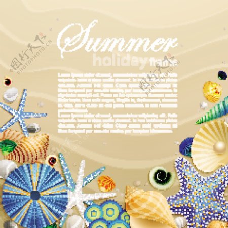 沙滩贝壳海螺海星珍珠图片