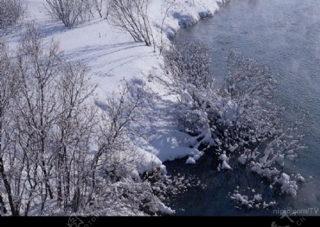 溪边雪景图片