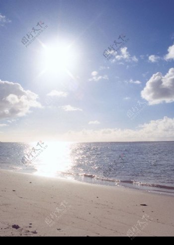 阳光下的海滩图片