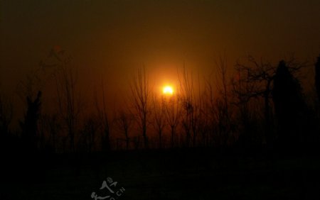 2010年1月15日天津看到的日偏食1图片