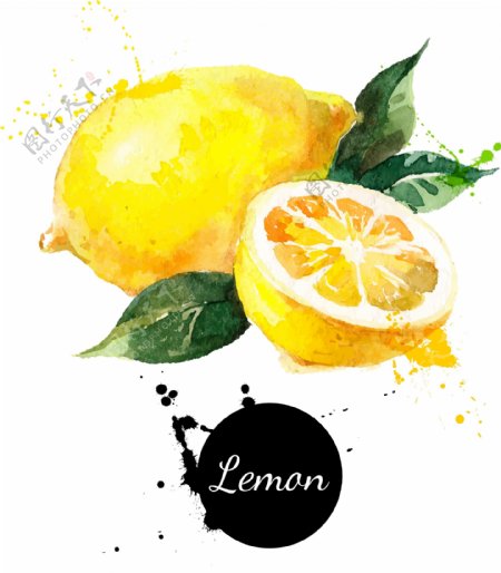 柠檬手绘水果矢量图图片