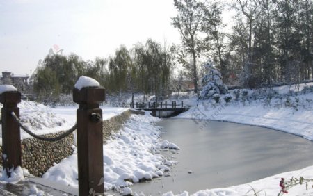 雪中小河边图片
