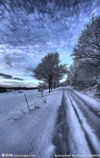 冬天小路雪景图片