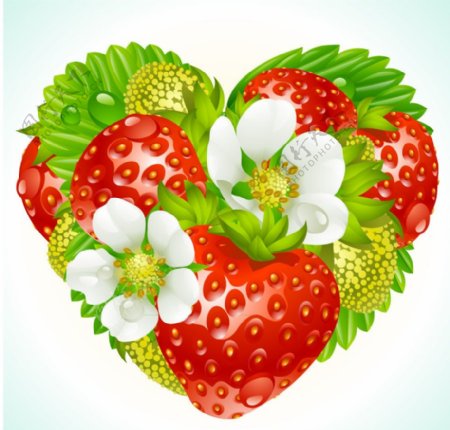 爱心草莓鲜花绿叶水珠背景图片