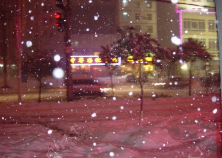 暴雪现场夜晚景观图片