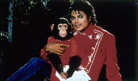 迈克尔183杰克逊和黑猩猩图片