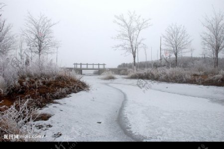 冬天雾景图片