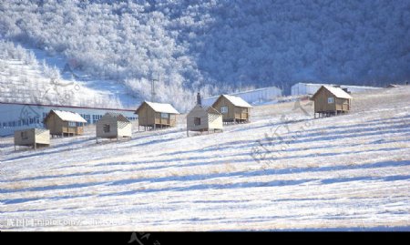 张北桦皮岭的08年的冬天图片