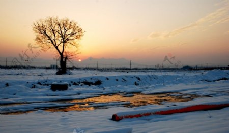 雪野图片