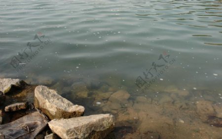 湖面湖水图片