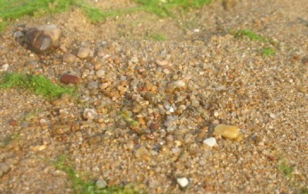 沙滩碎石图片