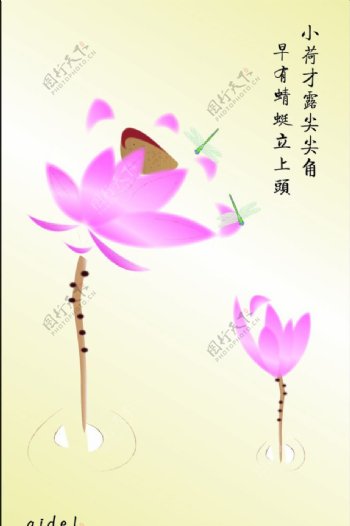 国画莲花蜻蜓小荷图片