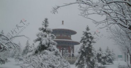 雪天景色图片