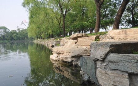 颐和园湖边岩石图片