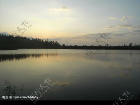 日出前的湖水图片