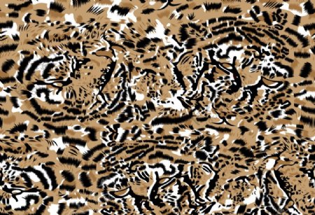 豹纹印花图图片