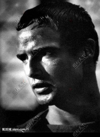 怀旧相片Brando图片