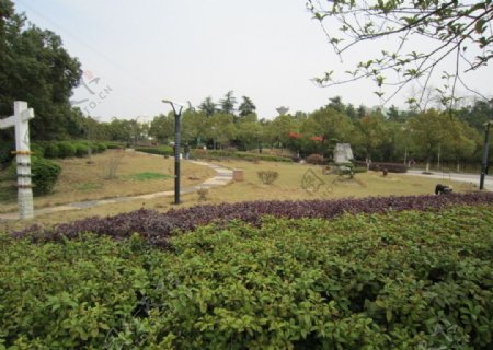 湘潭大学自然风景图片