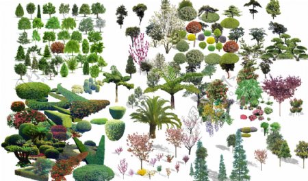 植物大集合图片