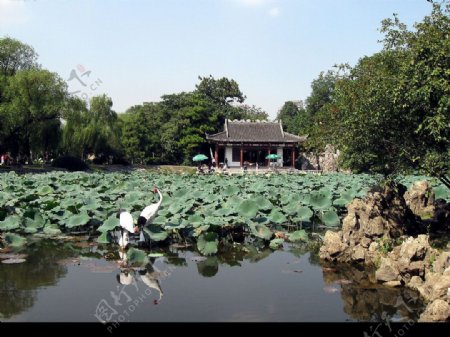 南京莫愁湖图片