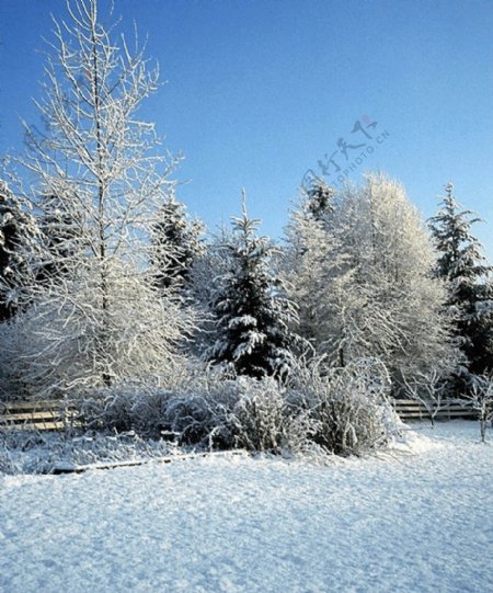 大雪迷幻风景4图片