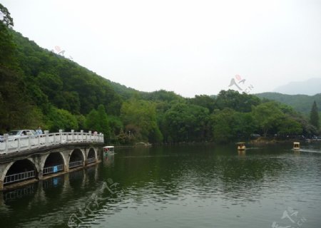 仙湖公园拱桥图片