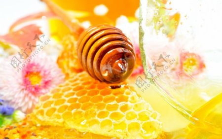 蜂蜜系列图片