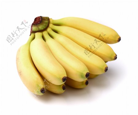 海南小米蕉图片