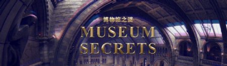 博物馆之谜网站banner图片