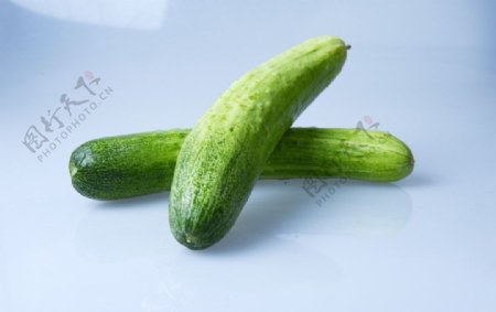 土黄瓜黄瓜蔬菜图片