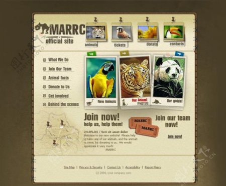 动物网站模板图片