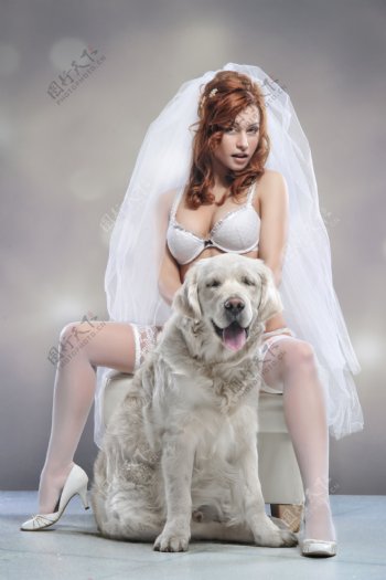 性感丝袜内衣新娘与狗图片