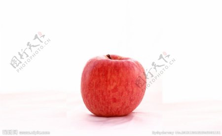 静物苹果图片